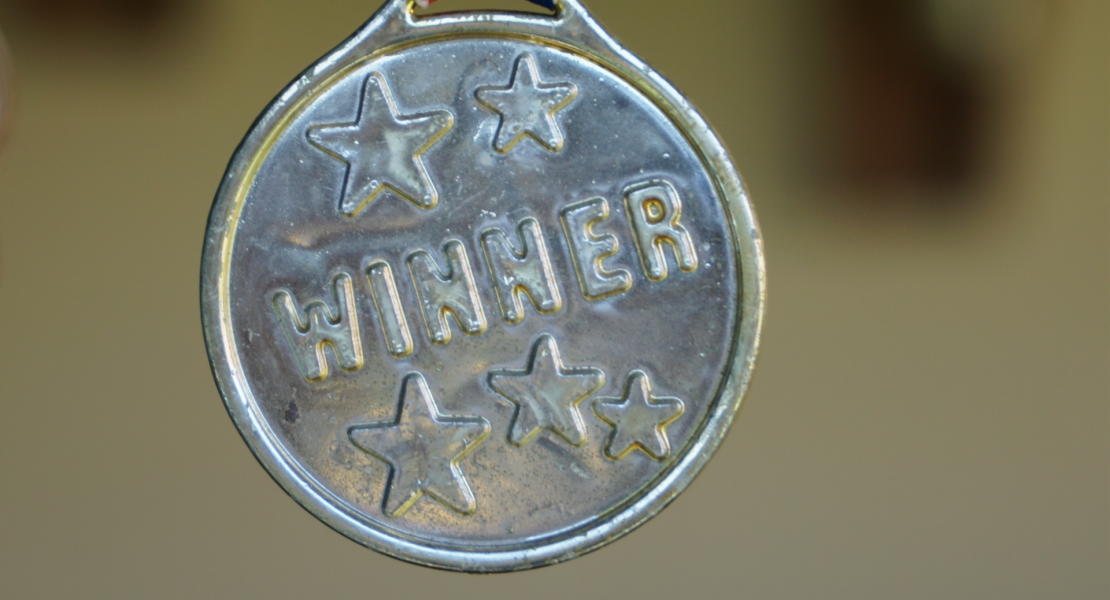 Silver Medal Award that reads WINNER with 5 stars held by a red, white and blue ribbon.