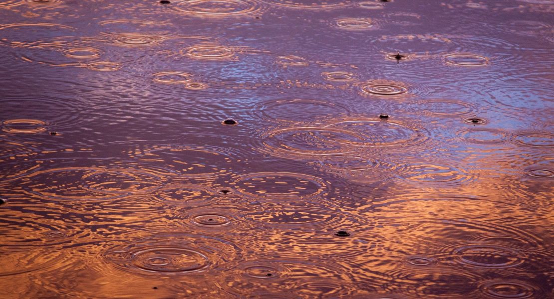 Multiple raindrops splashing in the lake leaving multiple circular rings. Water is deep purple, lavender and gold.