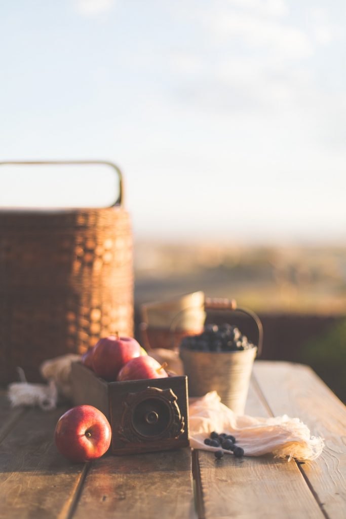 Close up of picnic basket, apples and blueberries on top of picnic table