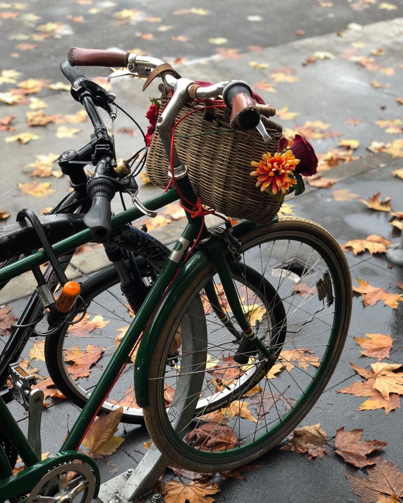 Two bicycles with fall leaves on ground