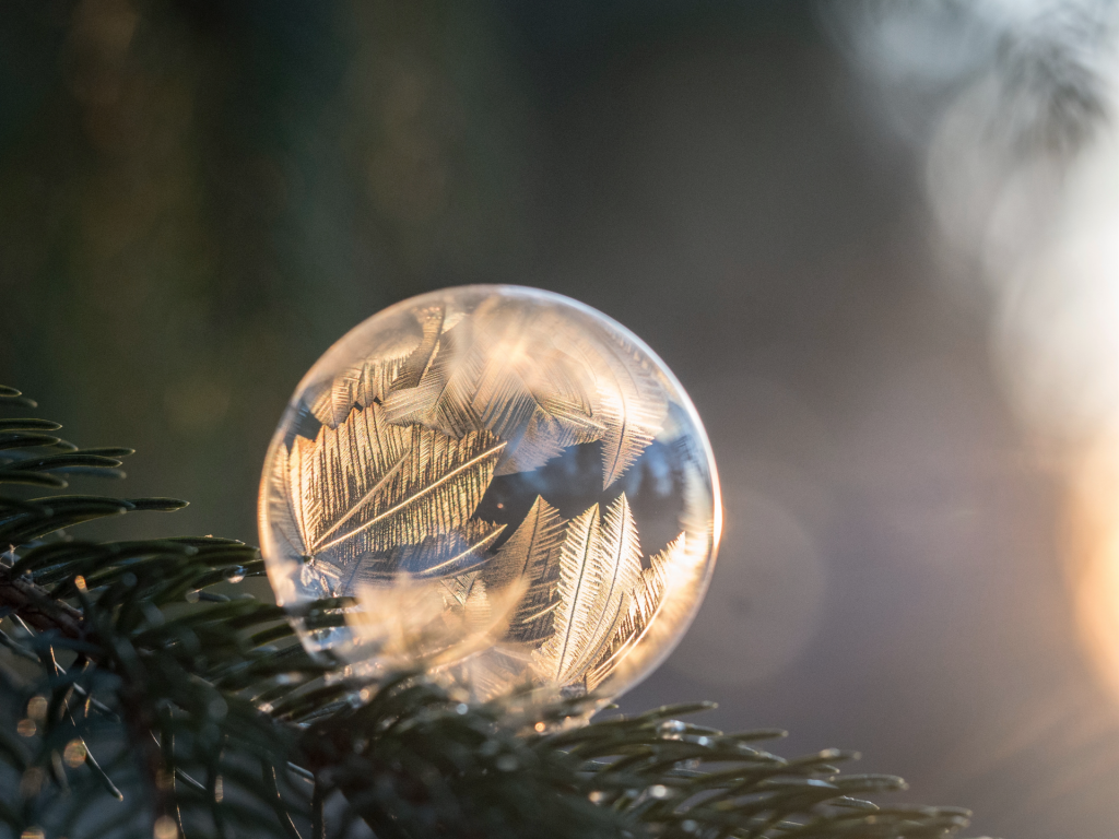 Crystal ball sitting on evergreen