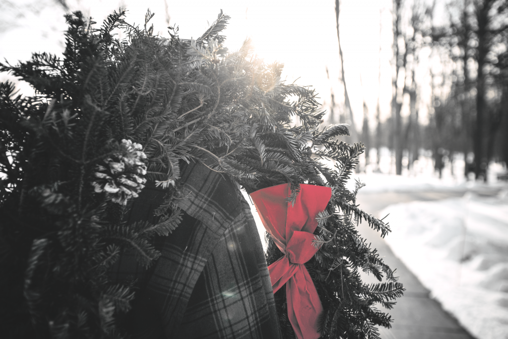 Wreath with red bow, sunlight in background