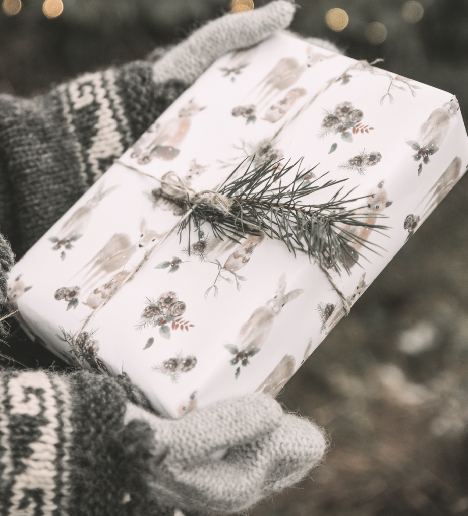 Gift wrapped package with evergreen bow being held by girl with sweater and mittens