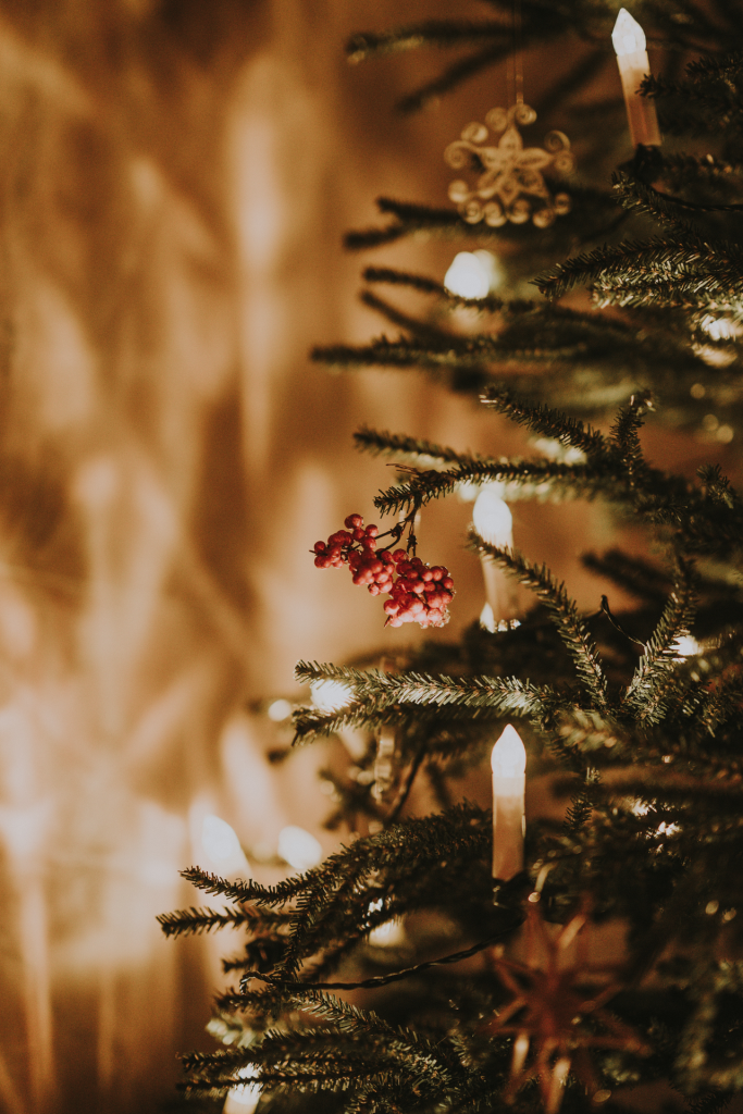 Close up of Christmas tree with candle lights and red berries