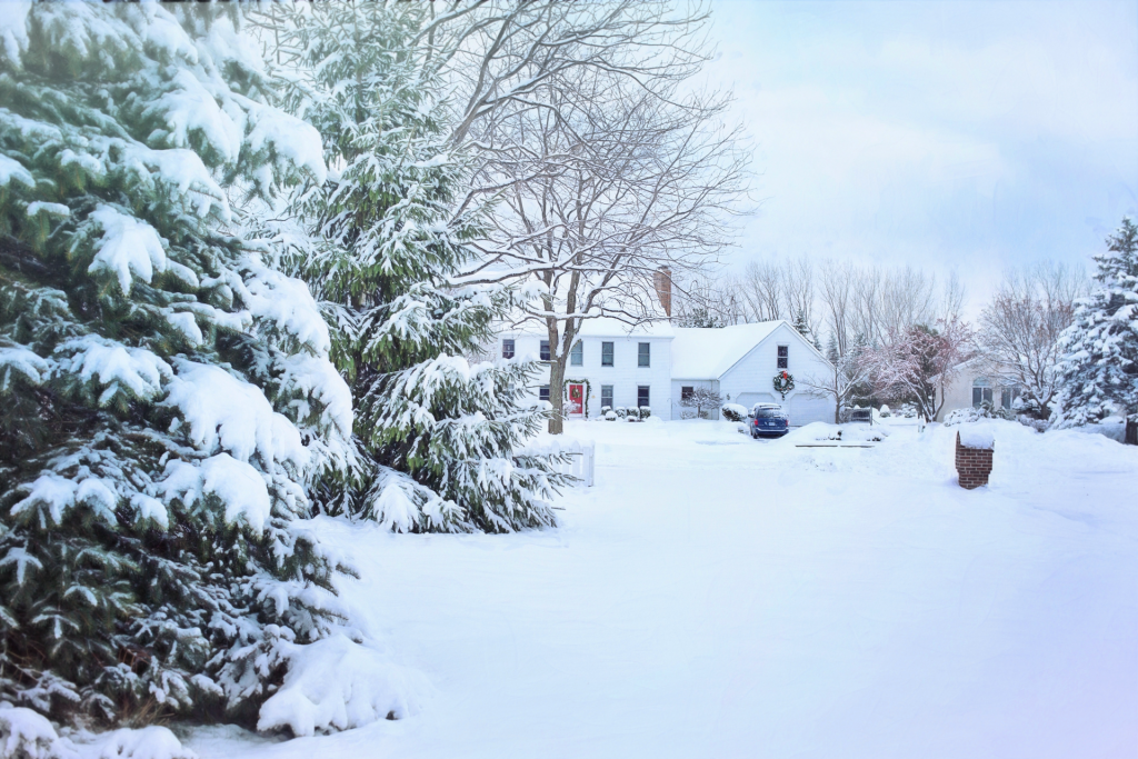 Home in the winter surrounded by snow and evergreens