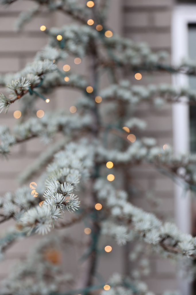 Skinny, sparse Christmas tree with gold lights, blurred