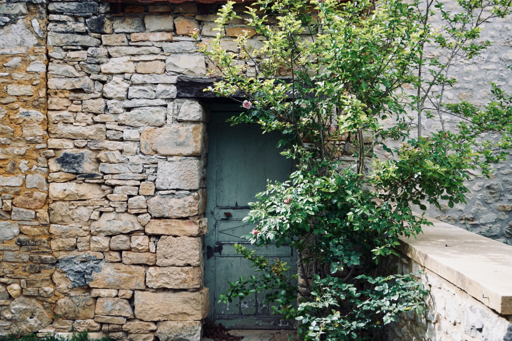 Rock building with green wood door with climbing rosebush on the side