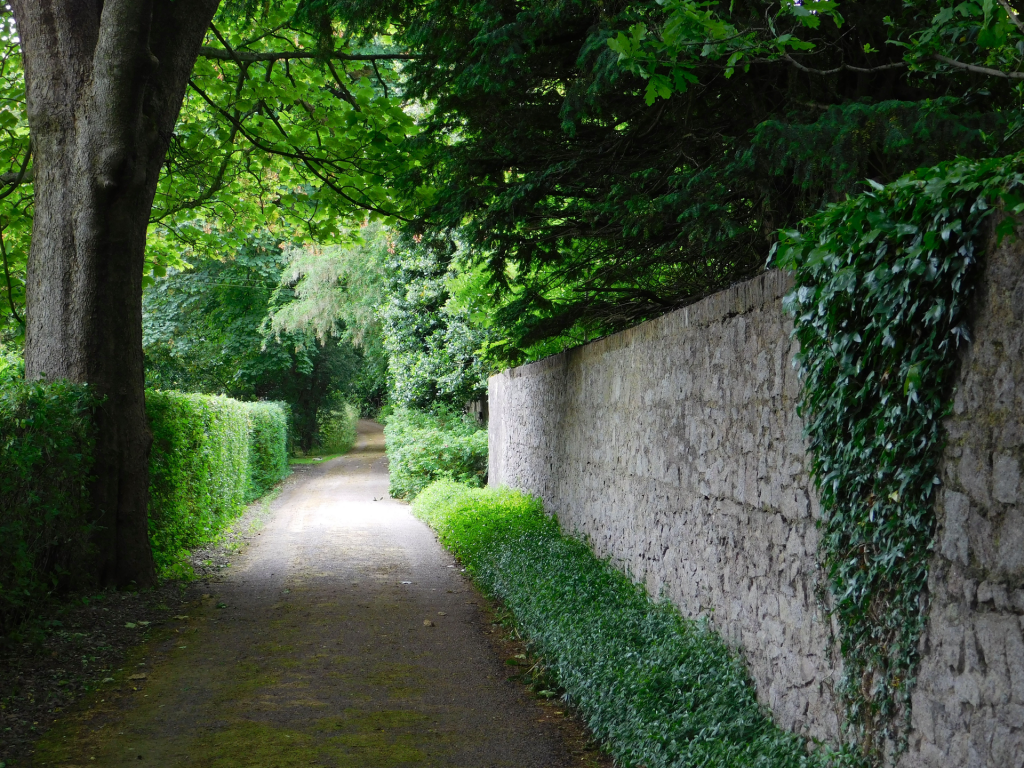 Serene and peaceful green garden setting of narrow road curving in distance