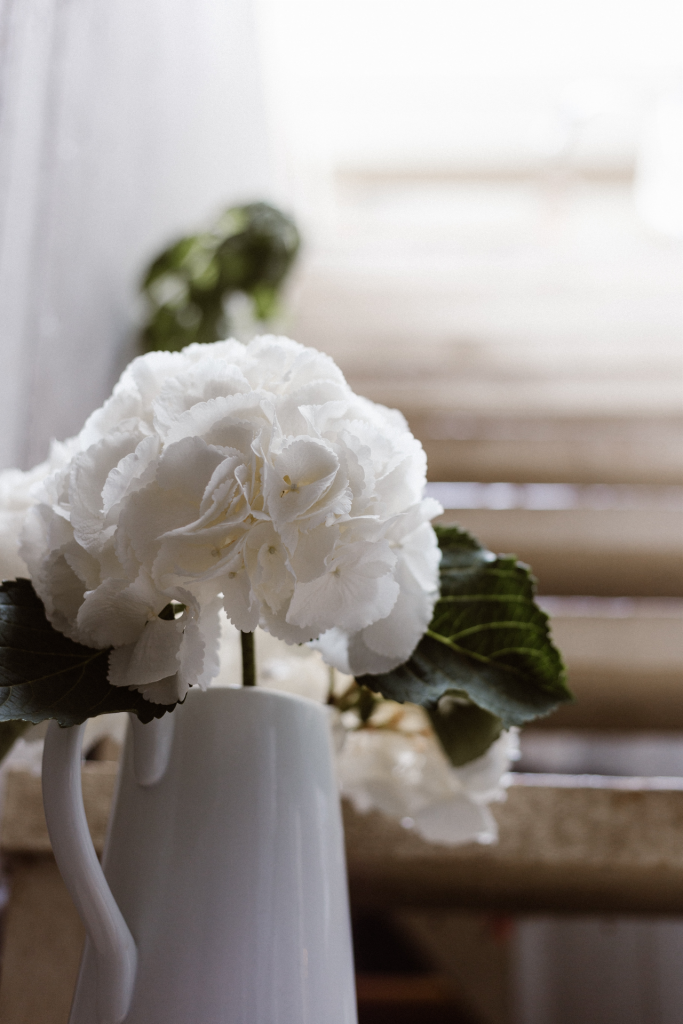 Close up image white hydrangea on steps with sunlight in background