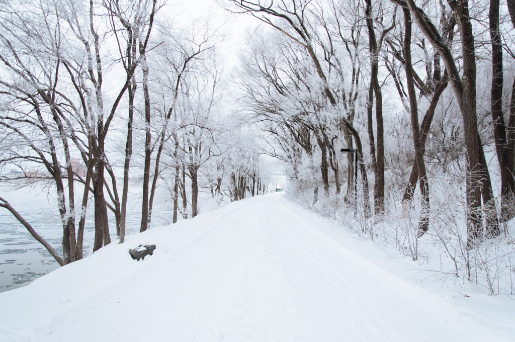 Lonely snow covered, tree lined road next to river