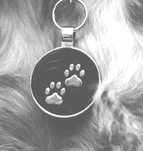 Close up image of dog tag with paw prints