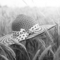 Straw hat in wheat field (black and white photo)