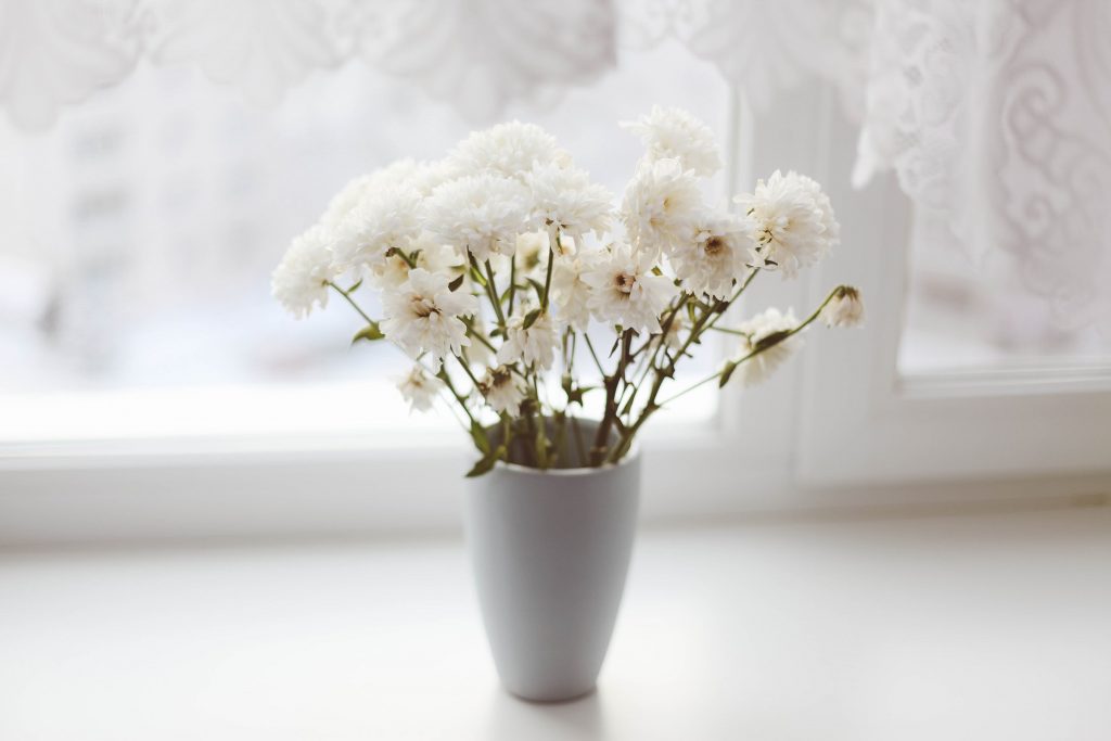 Close up image of vase with white flowers