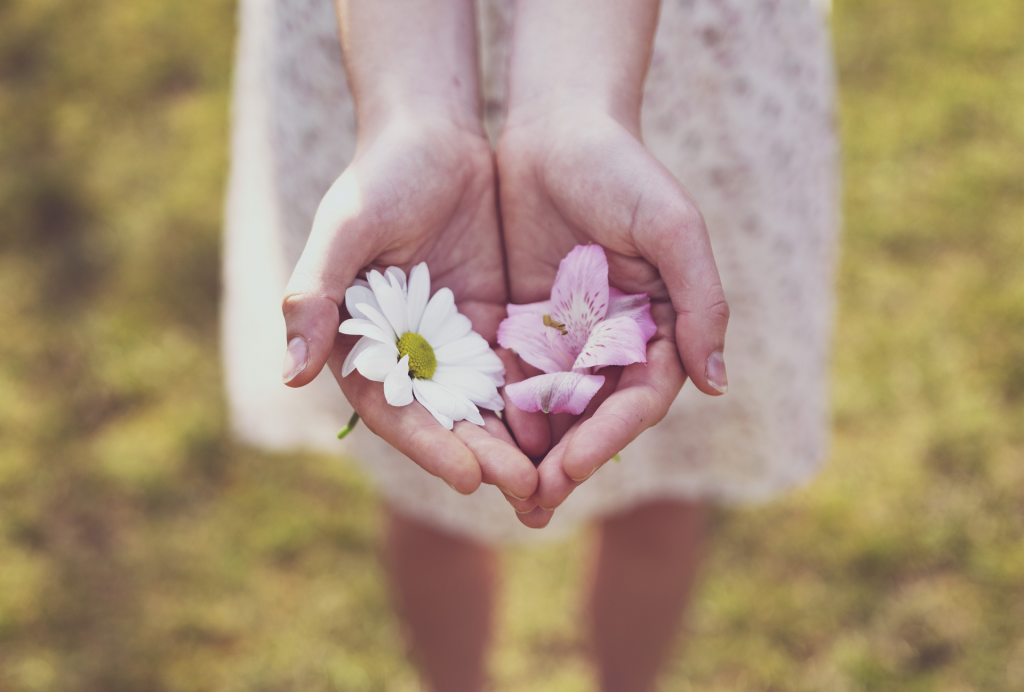 White and pink flowers in girl's hands