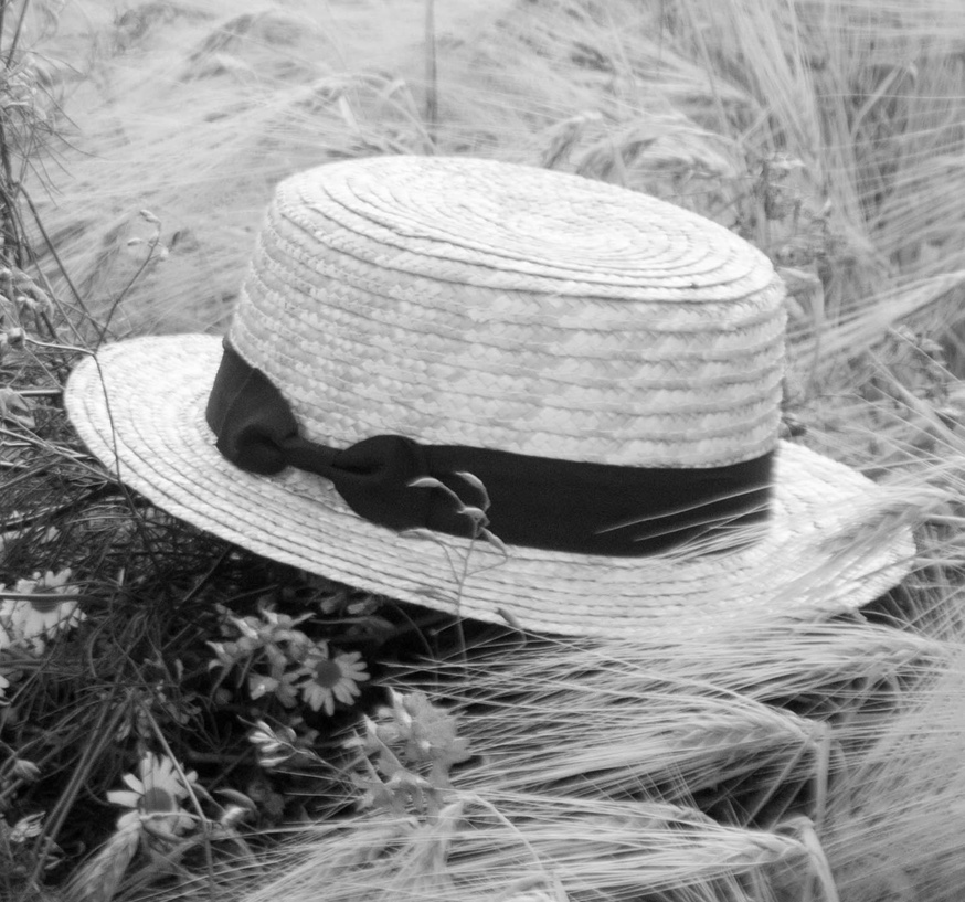 Hat in wheat field