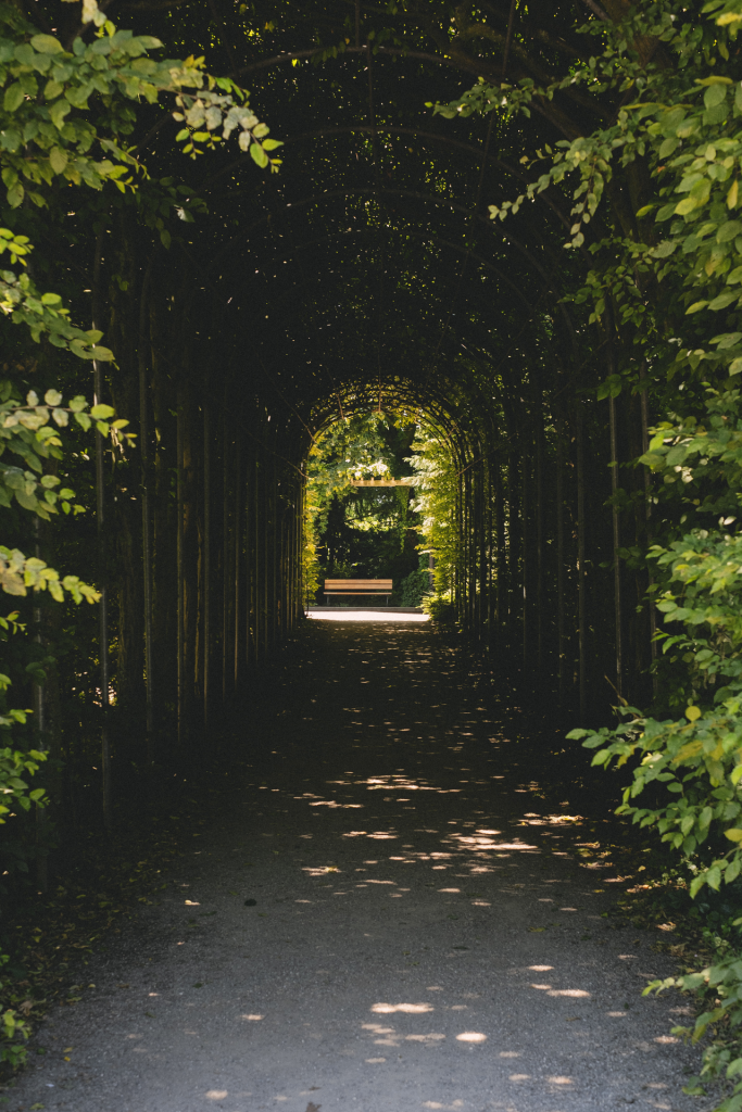 Darkened arc trellis covered with plants with light at the end 