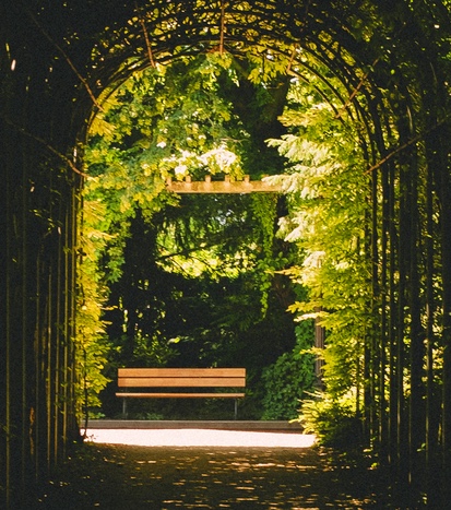 Darkened arc trellis covered with plants with light at the end with park bench