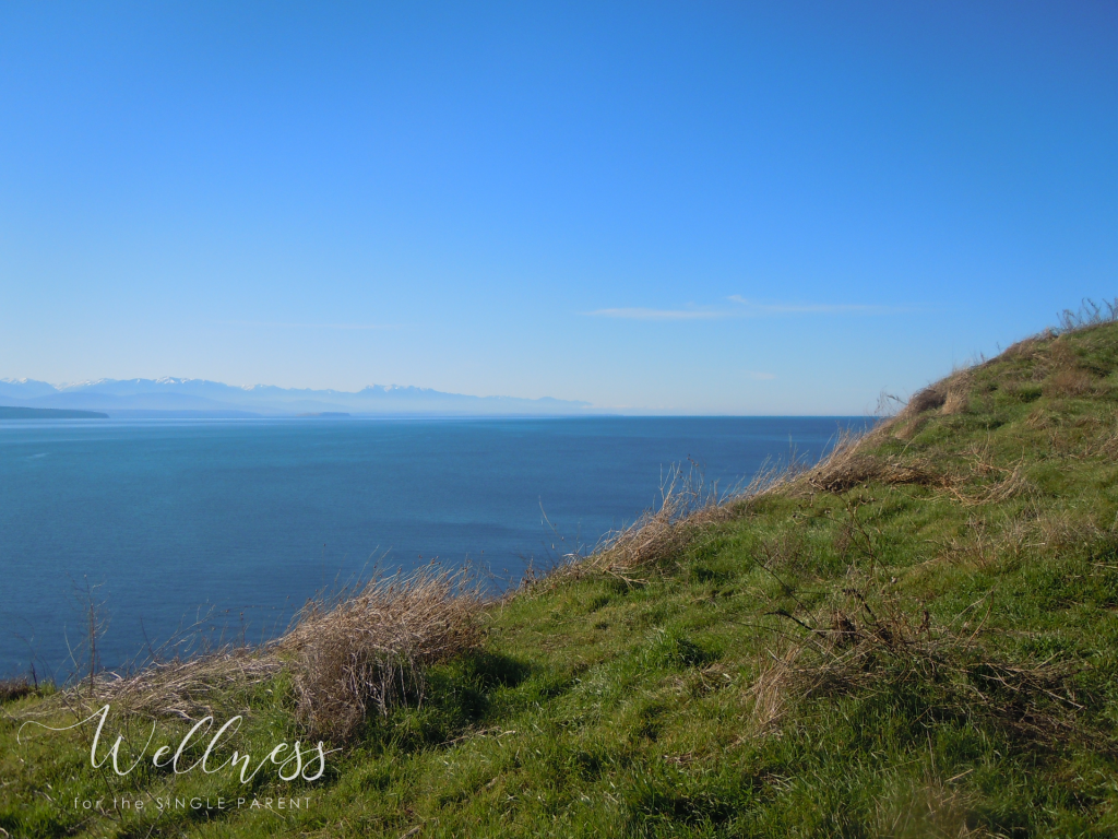 View of ocean on green bluff