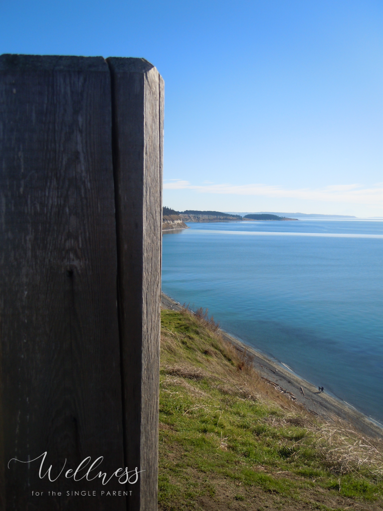 View of ocean from bluff 