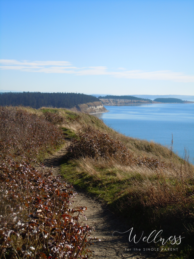 View of trail on bluff overlooking ocean