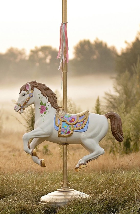 Solo carousel horse in foggy field